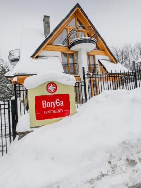 Отель Bory6a Apartamenty, Закопане
